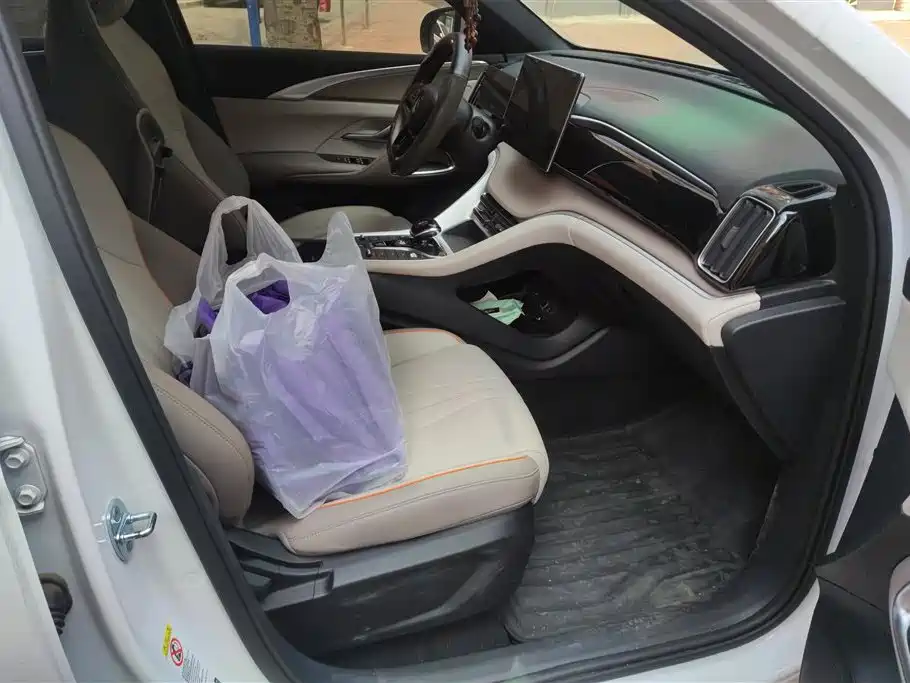 BYD SONGJIANG NEW ENERGY