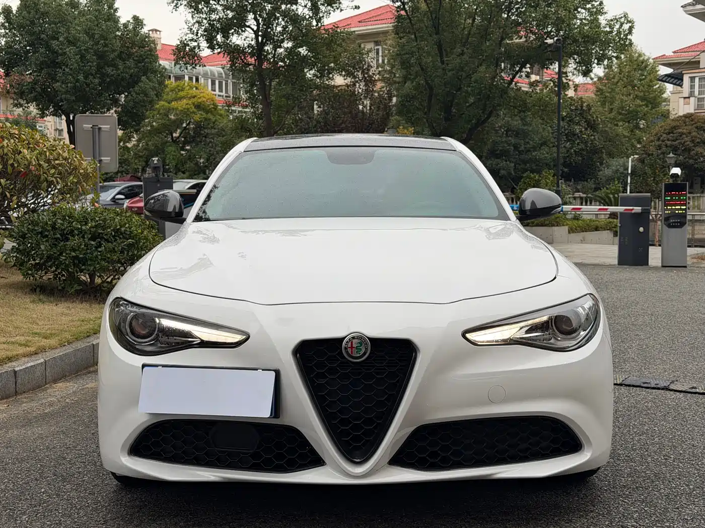 Alfa Romeo Giulia 2020 2.0T 280HP Dark Night Phantom Limited фото 3