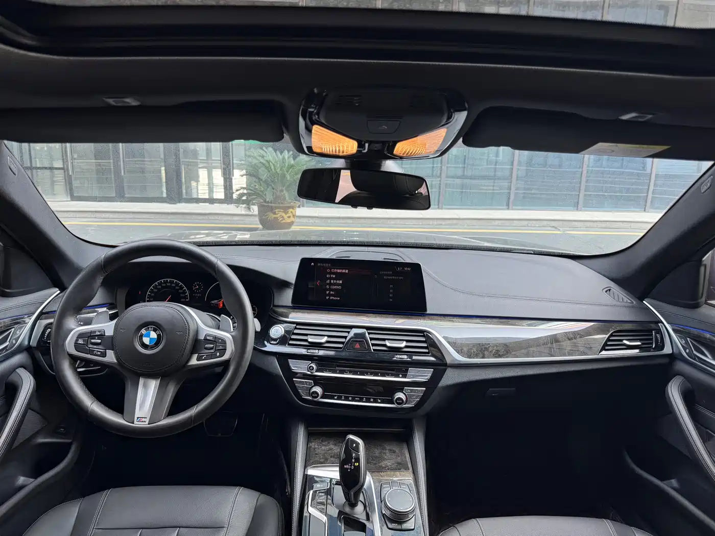 BMW 5 Series 2019 530Li Leading M Sport Package фото 8