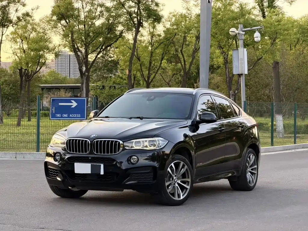 BMW X6, 2017 год
