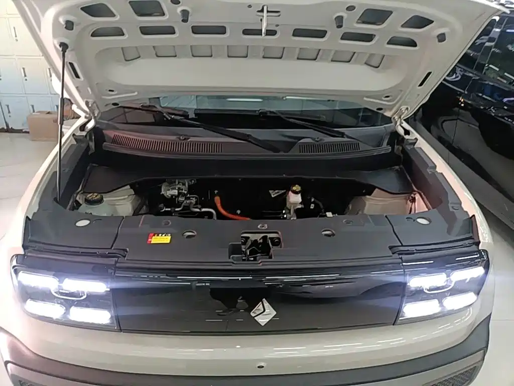 Baojun Yueye Plus 2026 2026 301km Flagship
