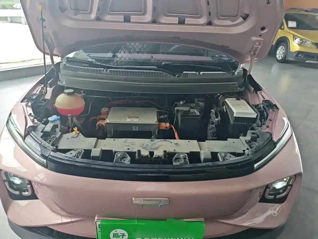 Geely Geometry E Firefly 2024 2024 401km Starlight