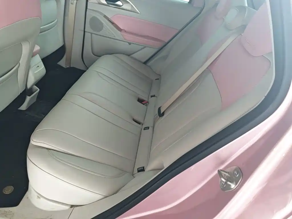 Geely Geometry E Firefly 2024 2024 401km Starlight