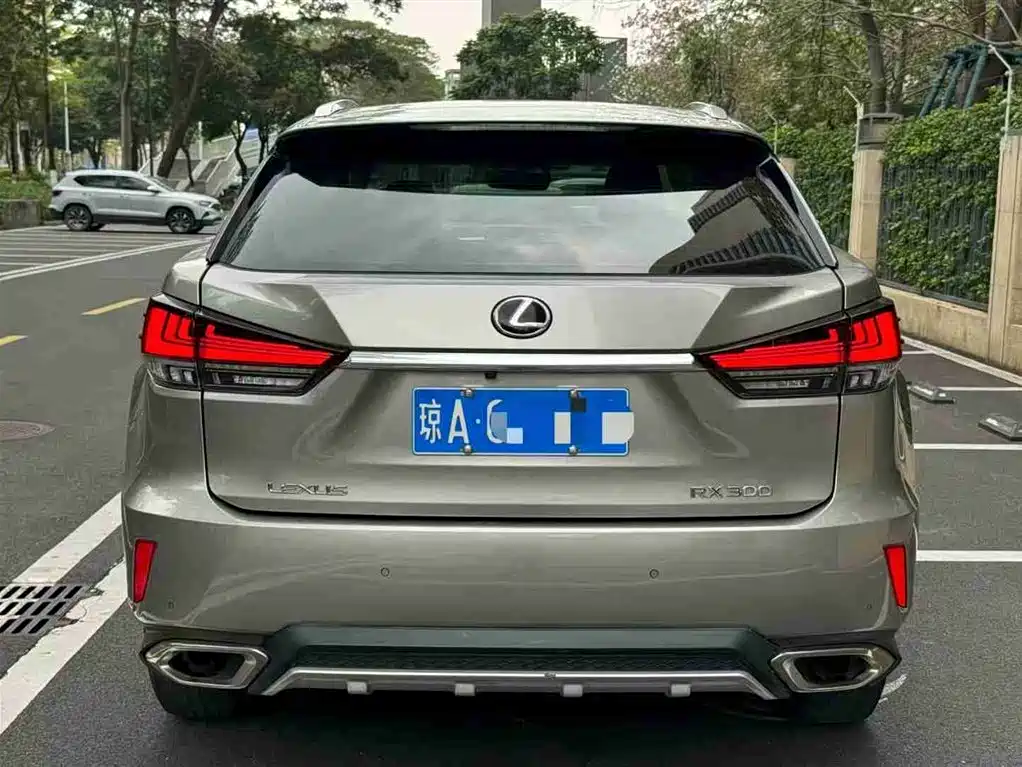 Lexus RX 2016 300 2WD Comfort Edition China V фото 5