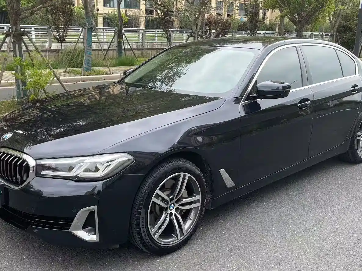 BMW 5 Series 2022 530Li Leading Luxury Package