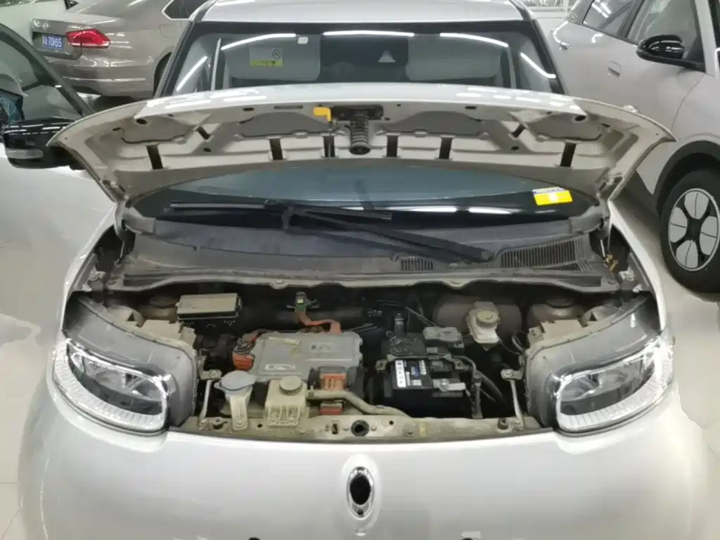 Ora White Cat 2021 2020 401km Flagship Model