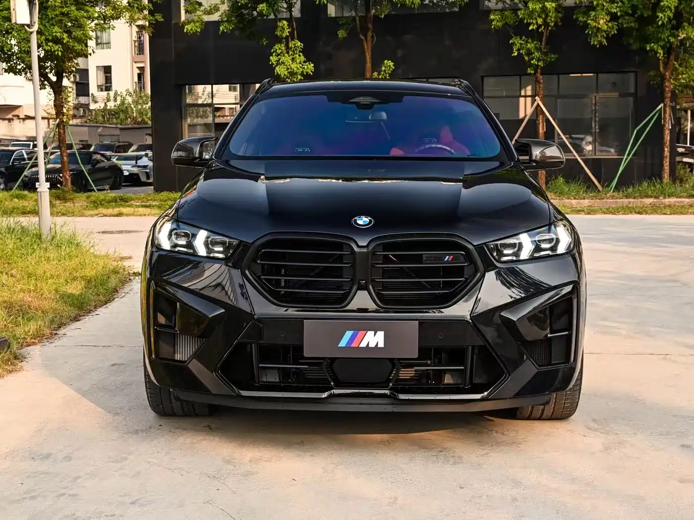 2025 BMW X6 M
