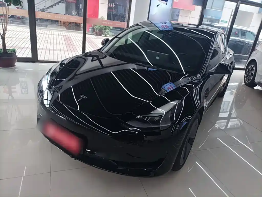 Tesla Model 3 2021