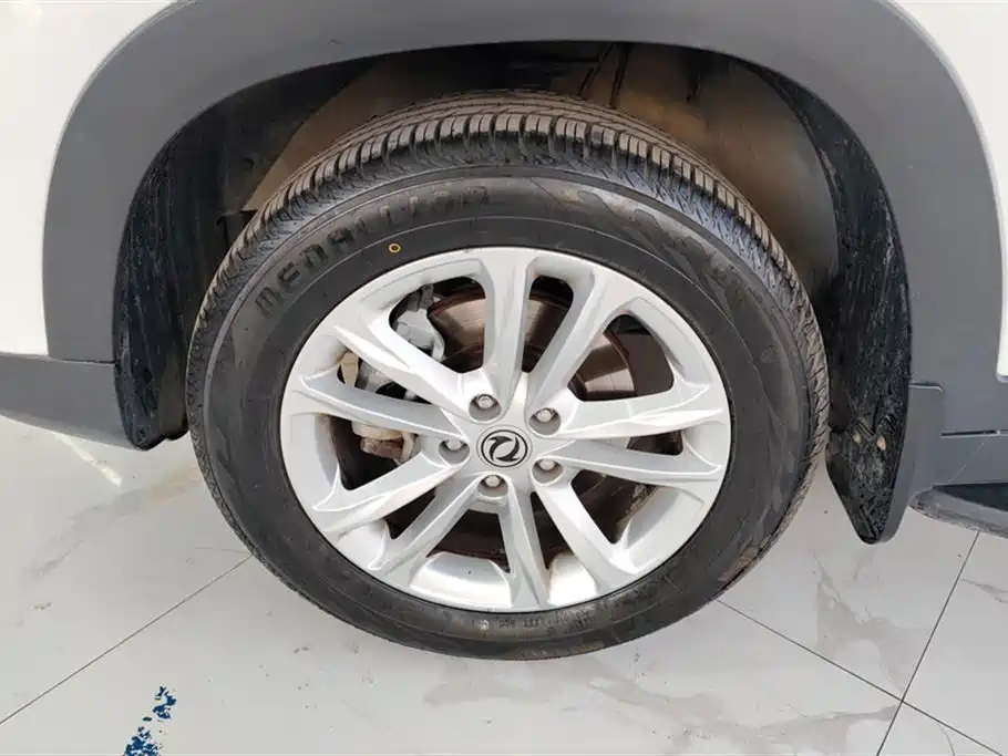 DONGFENG SCENERY S560