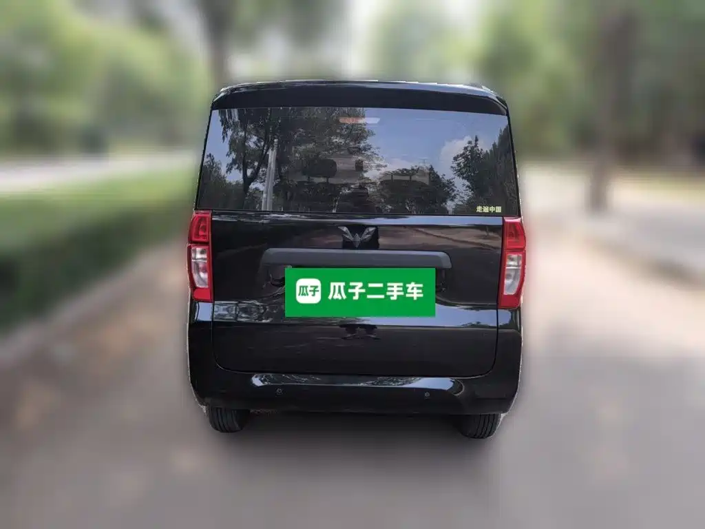 Wuling Motors Wuling Zhiguang NEV 2025 2025 Model 305km Base Version