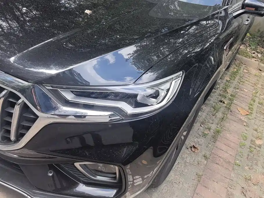 Hongqi HS5 2020 2019 2.0T Smart Connect Enjoy Edition