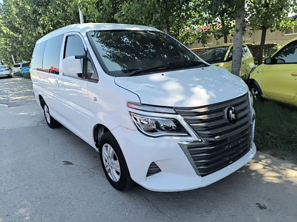 Фото 4 - Dongfeng Fengxing Lingzhi