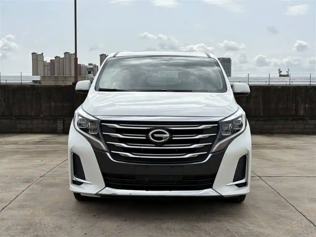 GAC Trumpchi Trumpchi M8 2020 Pilot 390T Premium Edition фото 2