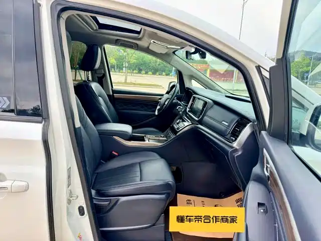 GAC Trumpchi Trumpchi M8 2020 Pilot 390T Premium Edition фото 24