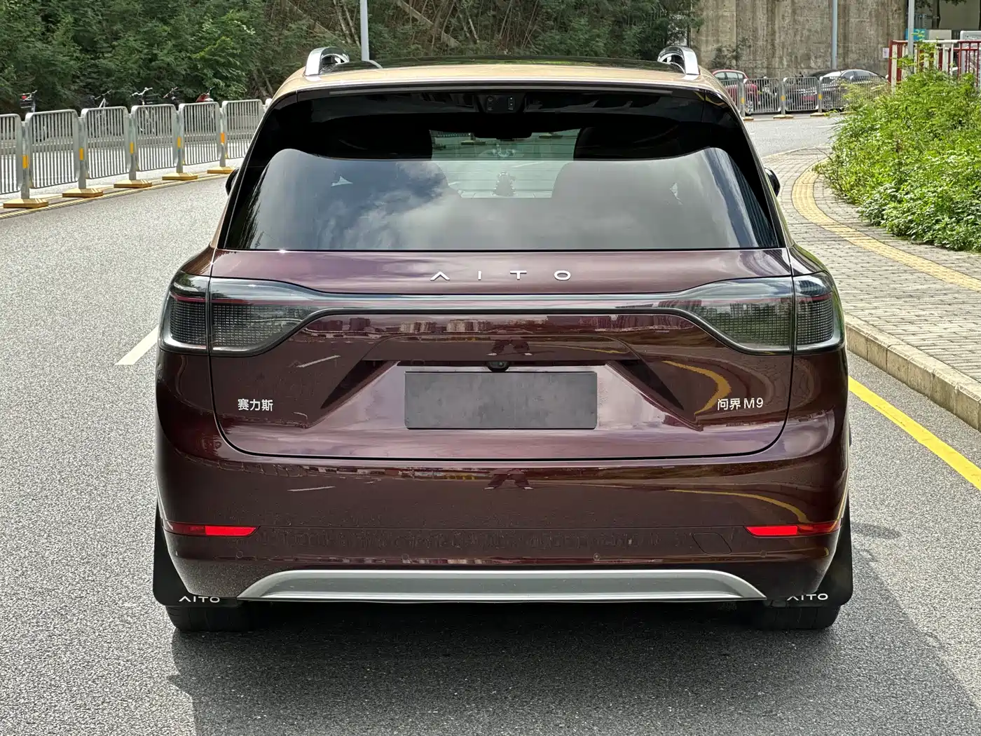 AITO Wenjie AITO M9 2025 Extended Range Max 52kWh 6-Seater фото 8