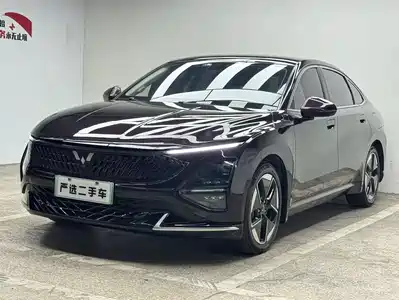 Wuling Starlight