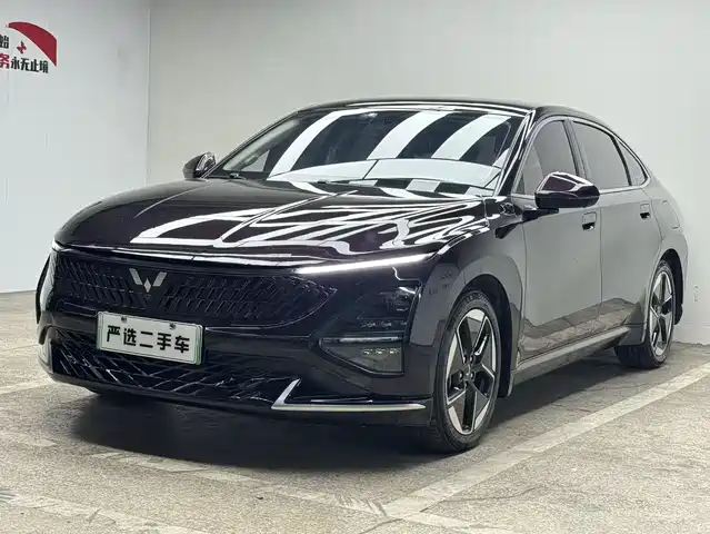  Wuling Motors Wuling Xingguang 2024 Co-Creation Edition 150 Advanced