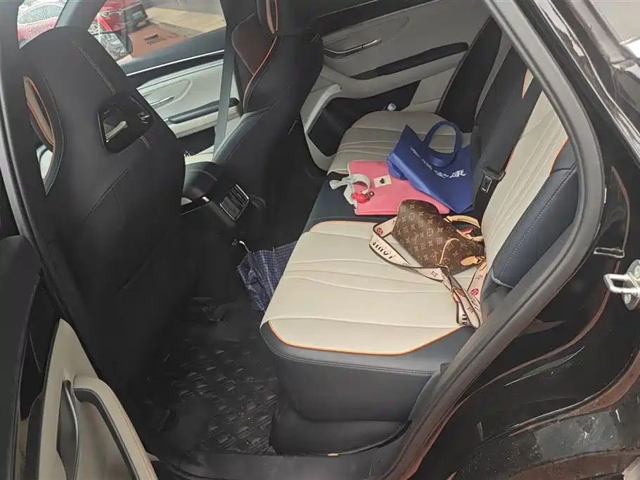 BYD Song PLUS PHEV 2023 Champion Edition DM-i 110KM Flagship фото 11