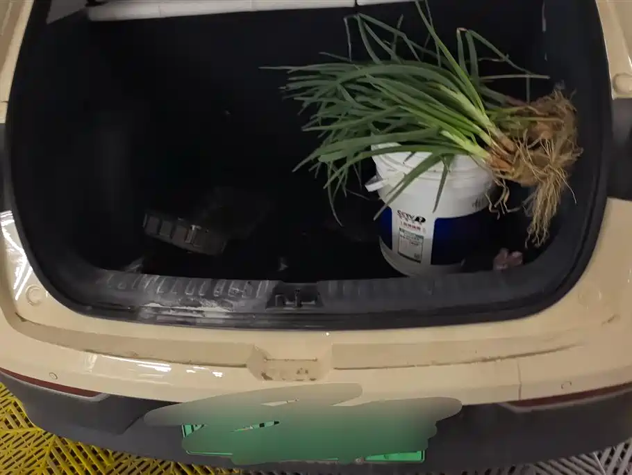 GEELY GALAXY STAR WISH