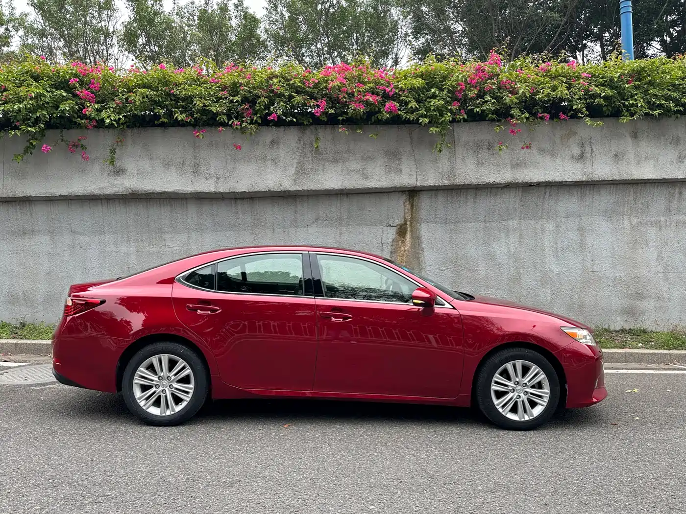 Lexus ES 2014 250 Elegance Edition фото 5