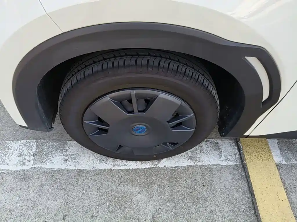 BYD Seagull 2026 2025 Smart Drive Edition 305km Vitality Version