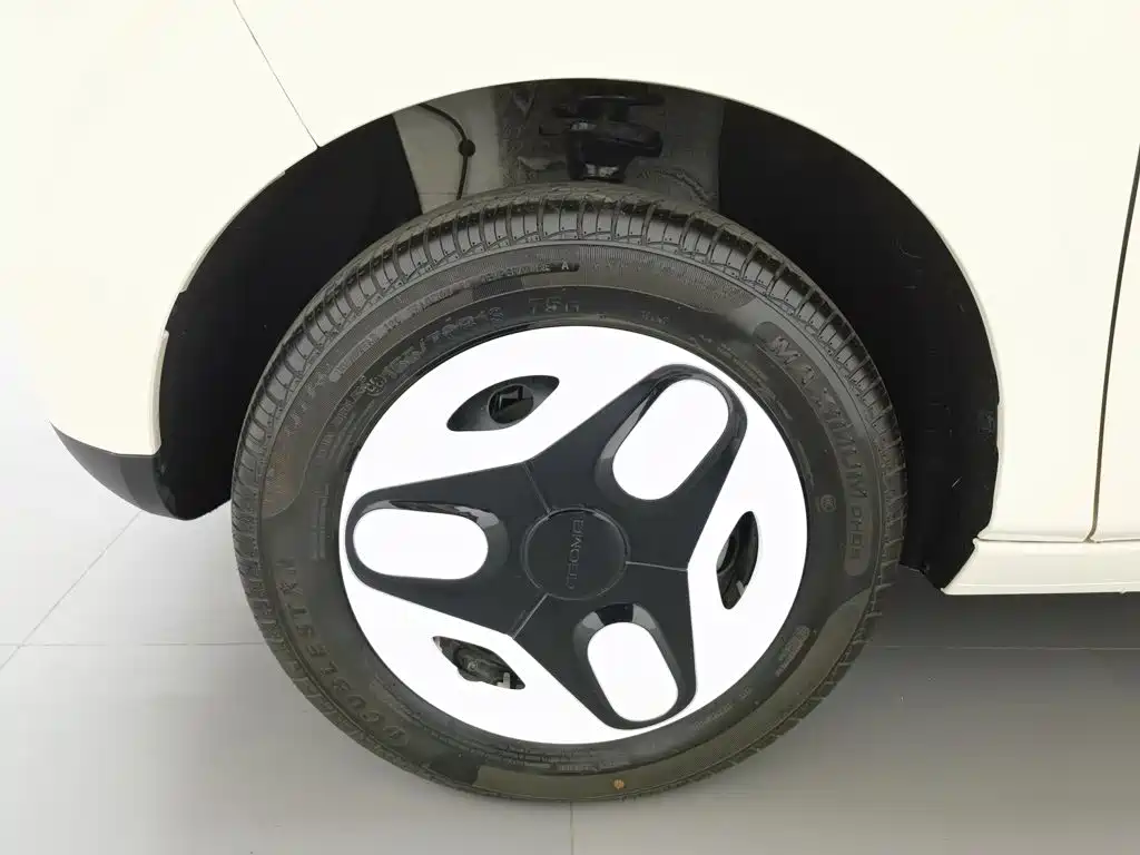 Geely Galaxy Panda 2026 2025 Panda mini 210km Vitality Bear