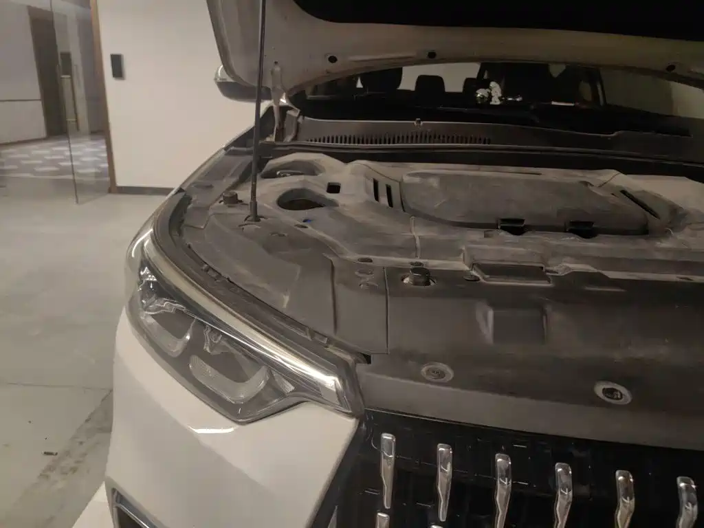Leopaard Mattu 2018 2018 1.6T GDI DCT Premium Edition