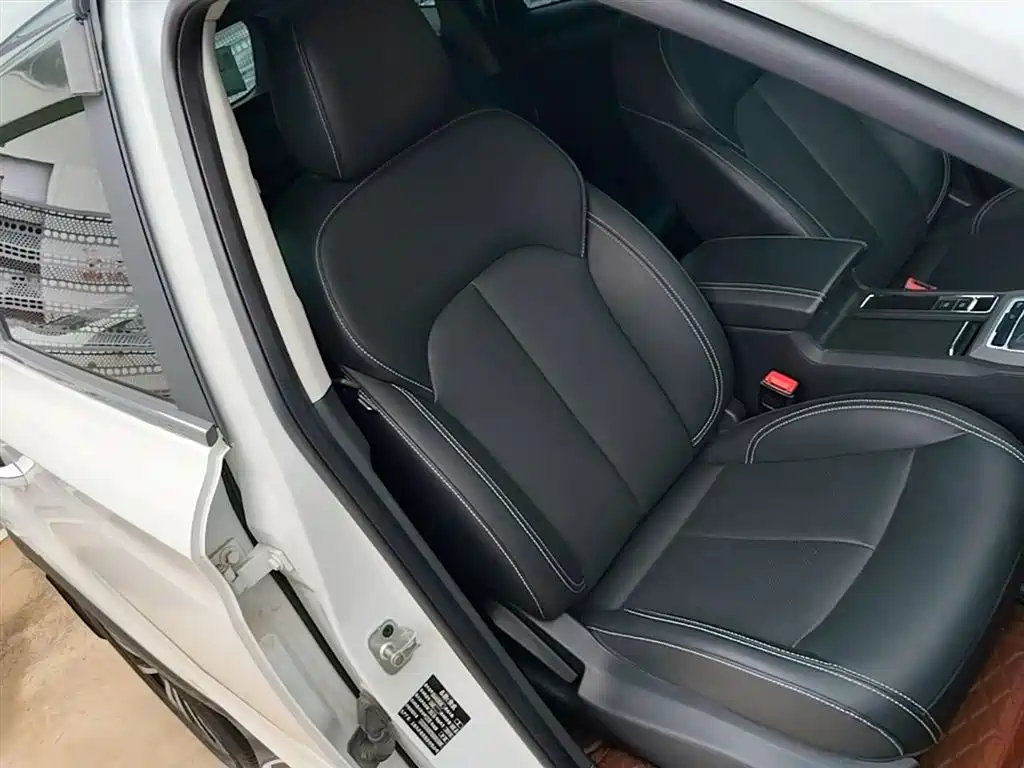 Фото 25 - Roewe RX5