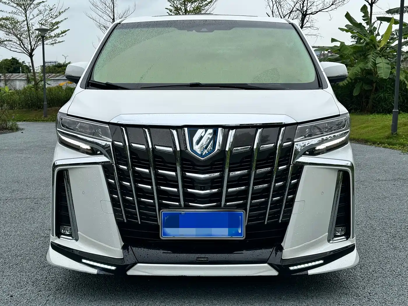 Toyota Alphard 2019 Hybrid 2.5L Luxury фото 2