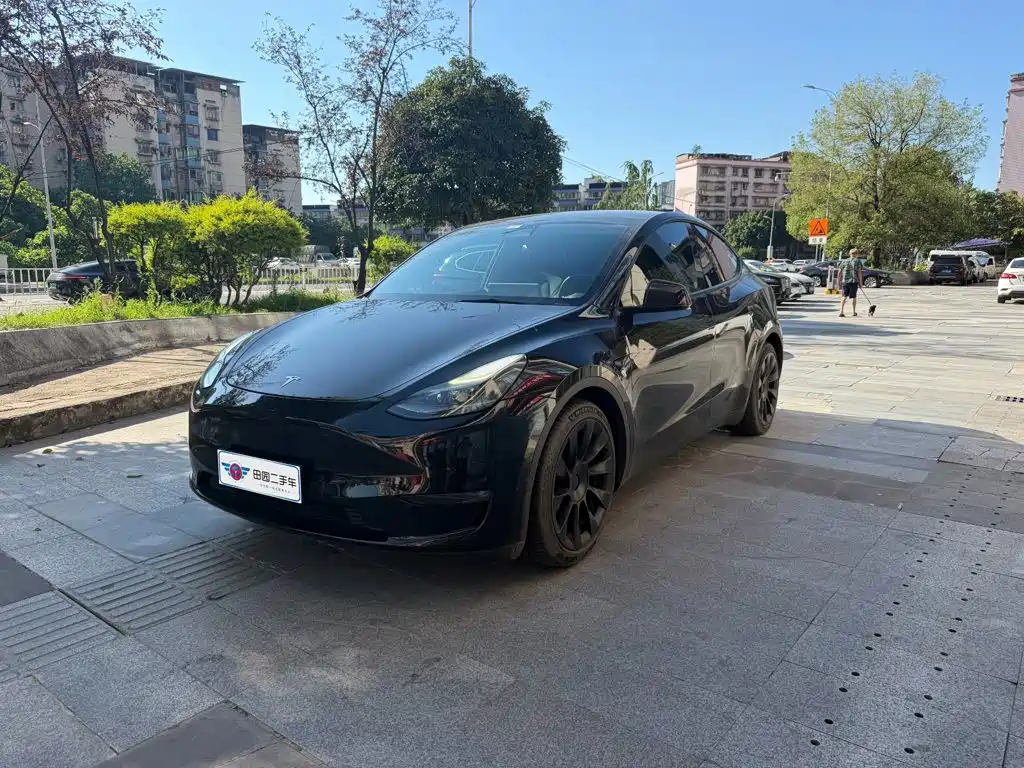 Tesla Model Y 2021 Standard Range Rear-Wheel Drive