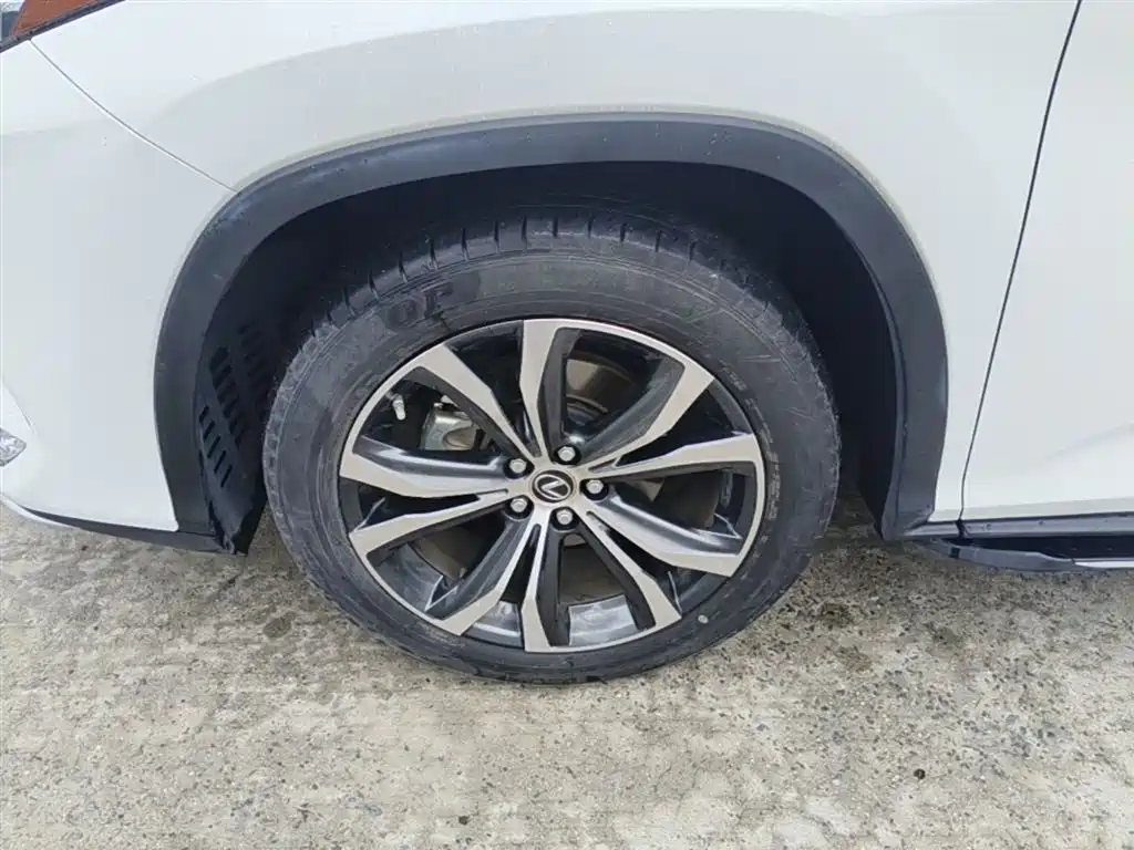 Фото 23 - Lexus RX