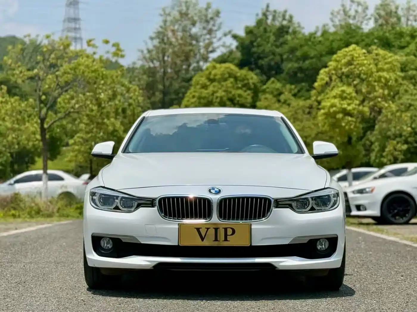 BMW 3 Series 2019 320Li Fashion Type фото 2