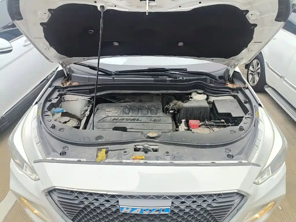 Фото 20 - Haval M6