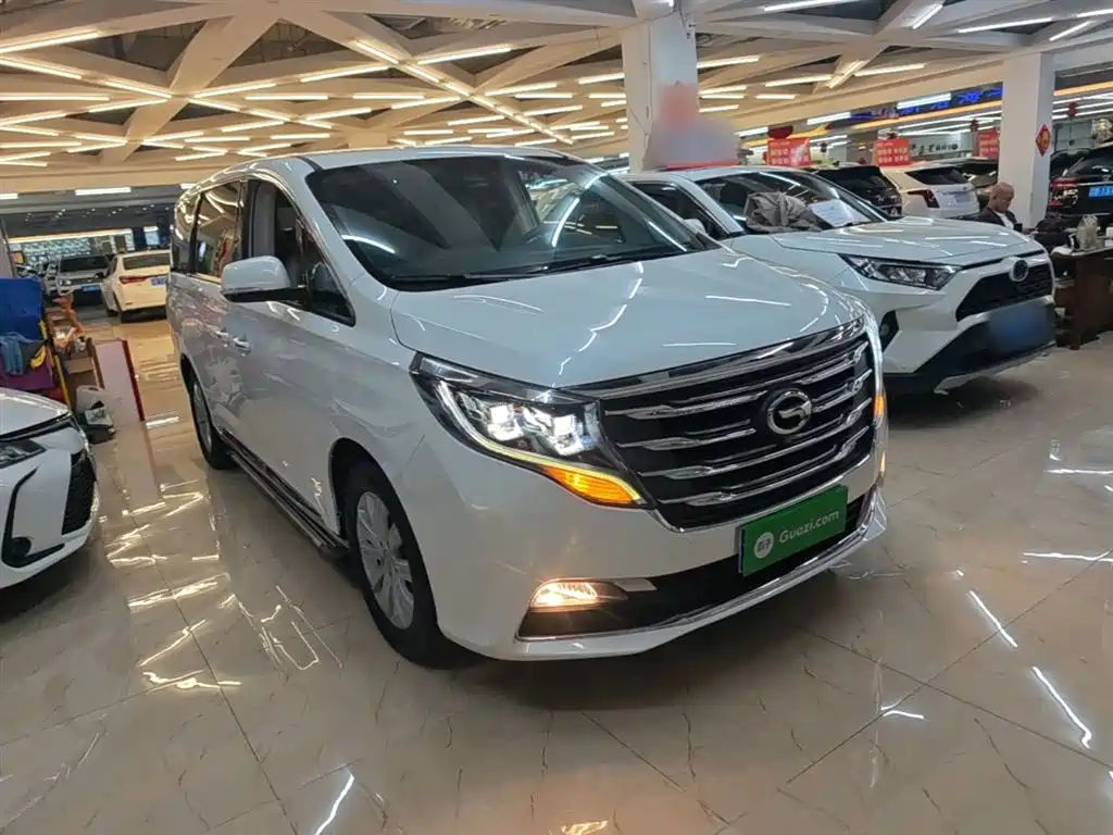 GAC Trumpchi Trumpchi M8 2018 320T Exclusive Edition фото 4