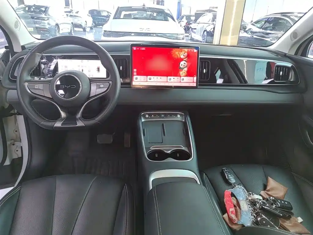 BYD Hai Shi 05 EV 2025 520KM Smart Navigation Edition фото 10