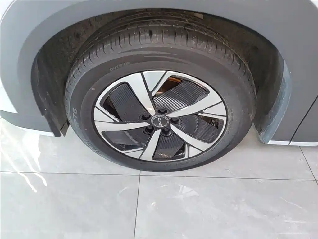BYD Hai Shi 05 EV 2025 520KM Smart Navigation Edition фото 23