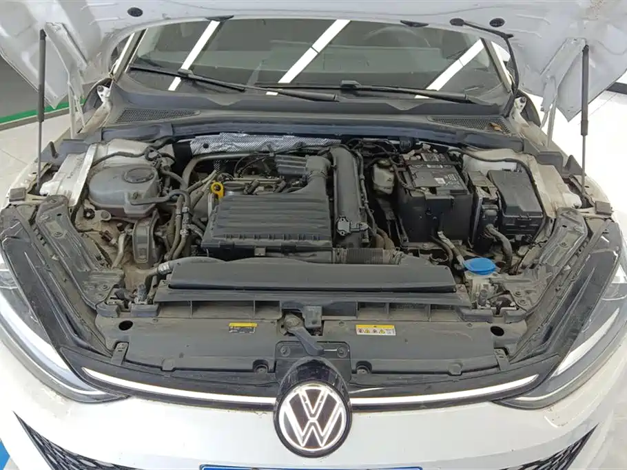 VOLKSWAGEN LINGDU