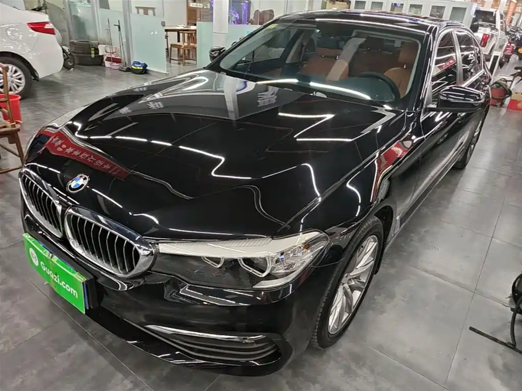 BMW 5 Series 2018 528Li Launch Special Edition