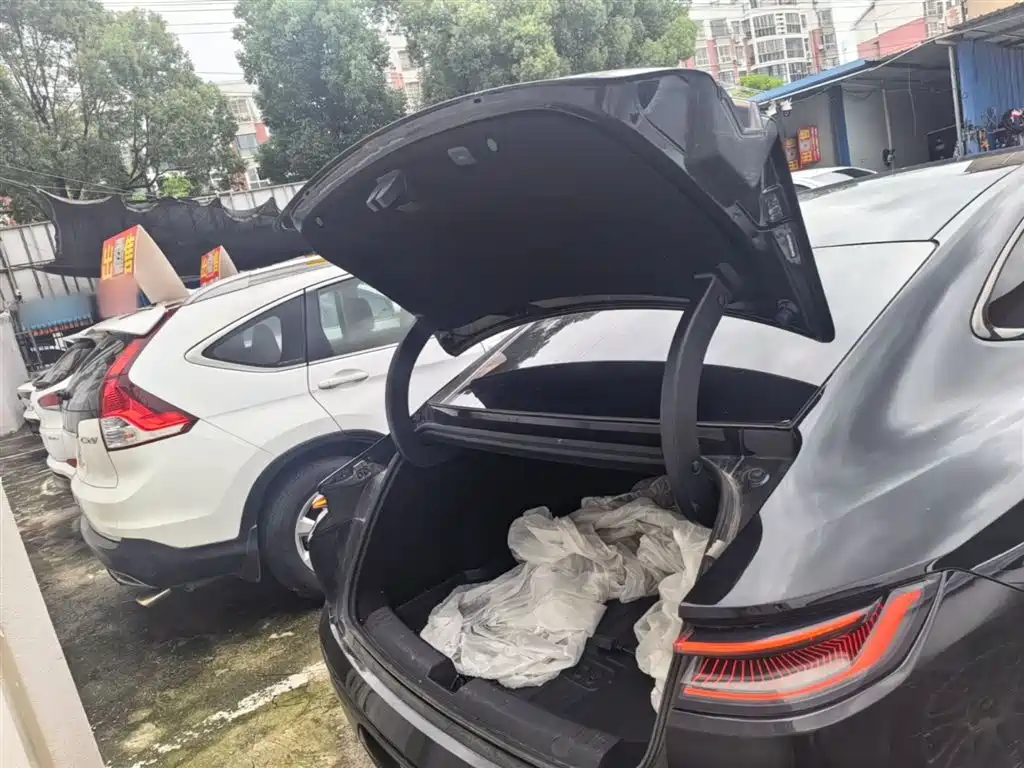 Geely Galaxy Galaxy Xingyao 8 2025 Model 130km EM-i Flagship Edition фото 19