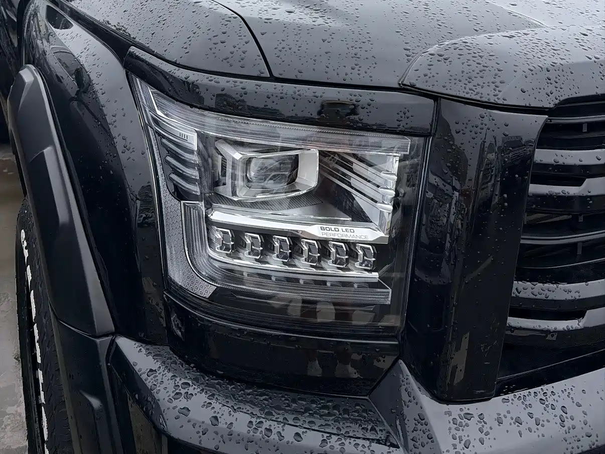 Haval H5 2024 2023 2.0T Automatic 4WD Leading Edition Diesel