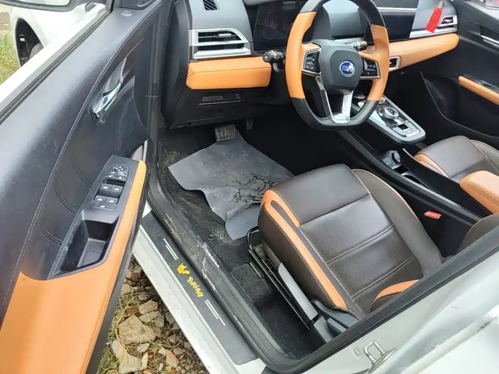 BYD e2 2022 2021 Luxury Edition