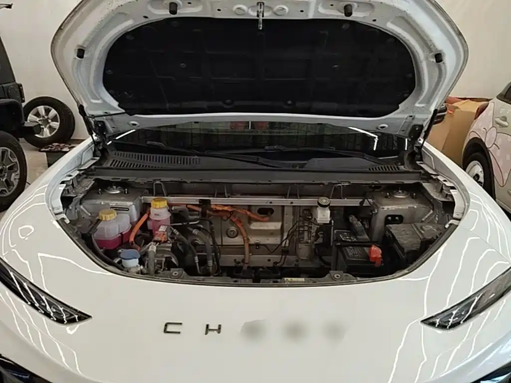 Chery New Energy Chery Comfort Home 2024 2024 512km Joyride Edition