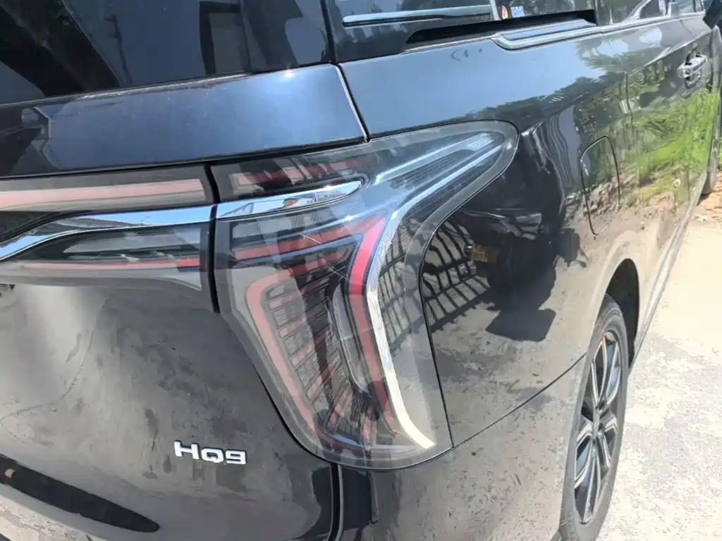 Hongqi HQ9 2023 2023 2.0T Smart Connect Flag Enjoy Edition