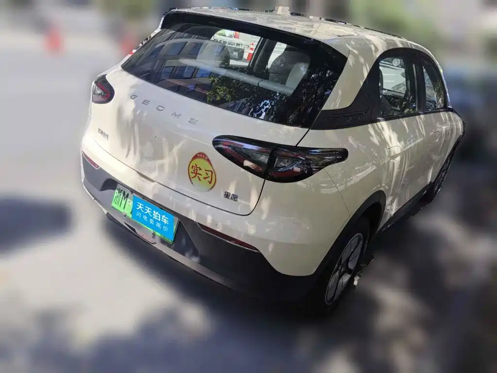 Geely Galaxy Starry Wish 2026 2026 Edition 310km Youth Version
