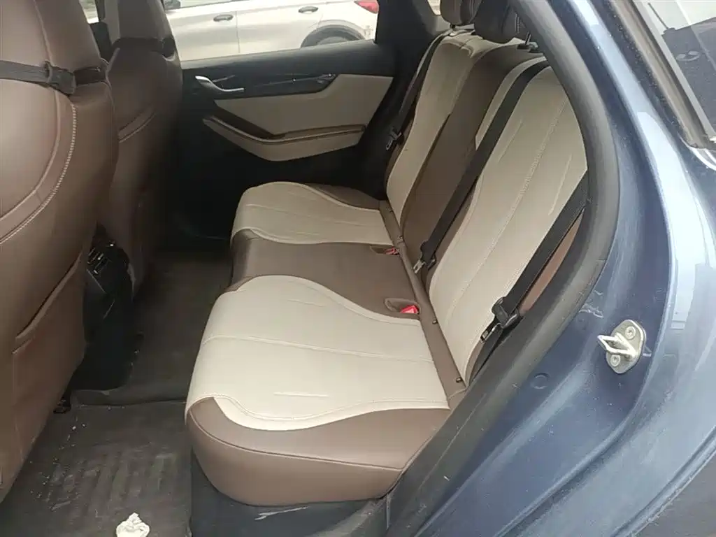 BYD Qin PLUS 2024 Glory Edition DM-i 55KM Leading фото 17