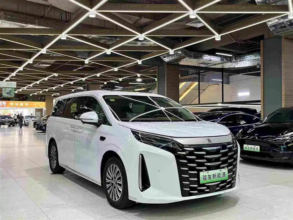Фото 10 - BYD Xia