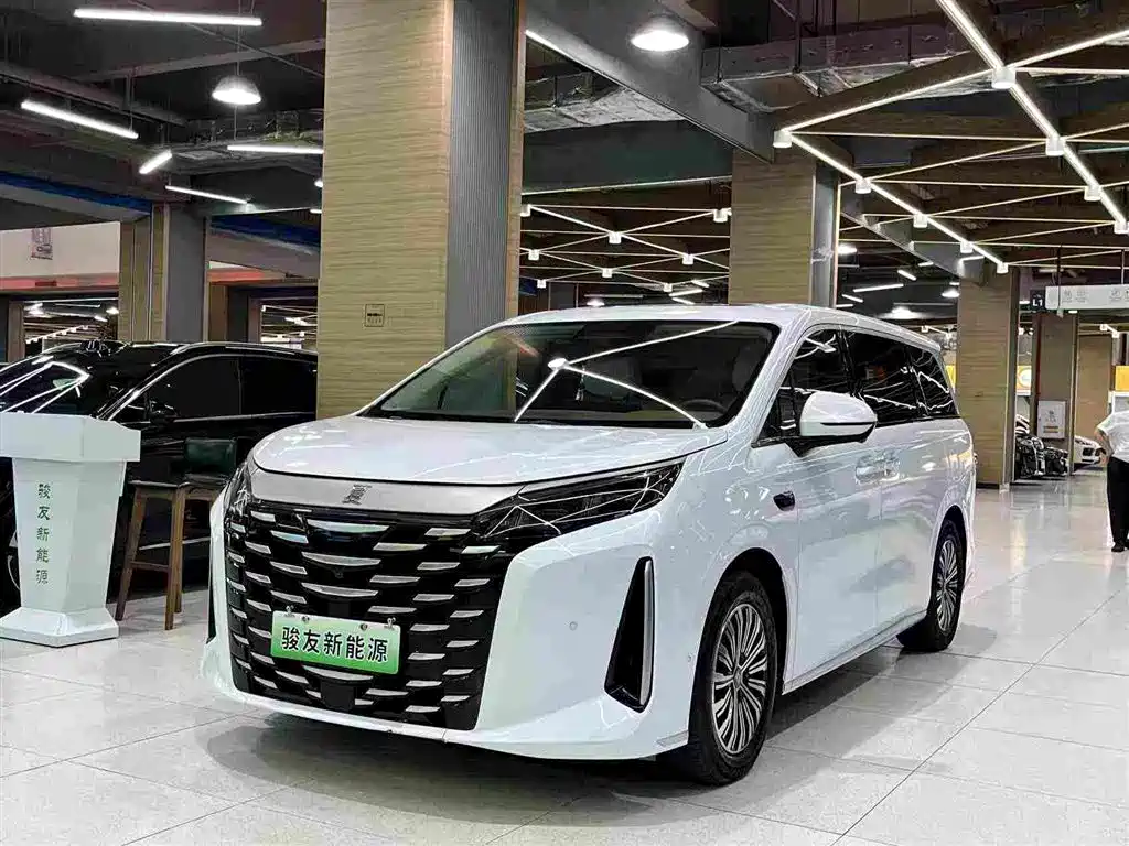 Фото 1 - BYD Xia