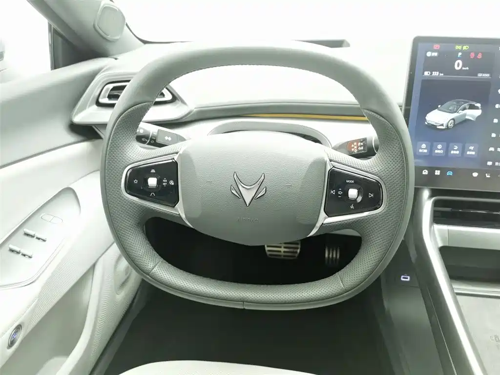 ARCFOX EXTREME FOX POLAR FOX ALPHA S5