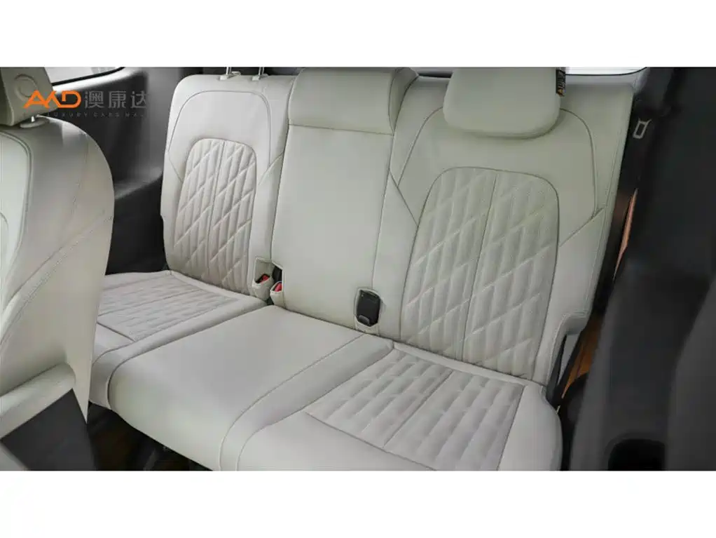Buick GL8 2021 ES Landlord 653T Luxury фото 9