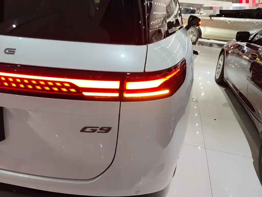 Фото 8 - XPeng G9